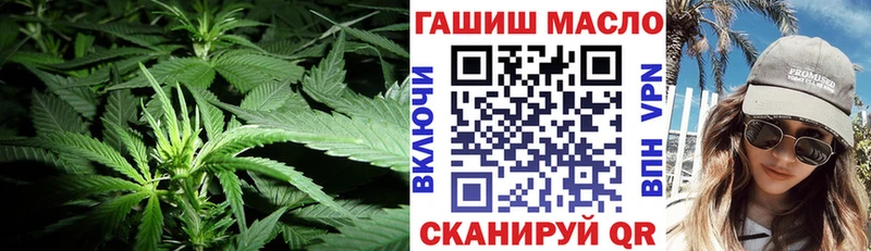 где купить наркотик  Сальск  ТГК Wax 