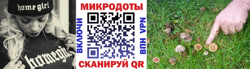 цены наркотик Сальск Псилоцибиновые грибы мухоморы