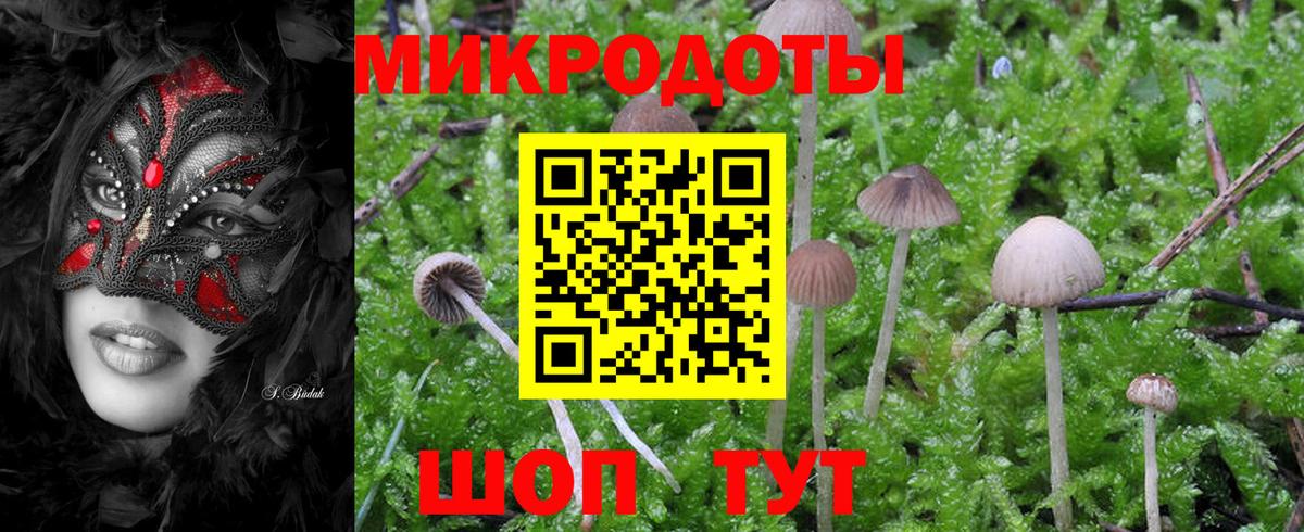 Галлюциногенные грибы ЛСД Сальск