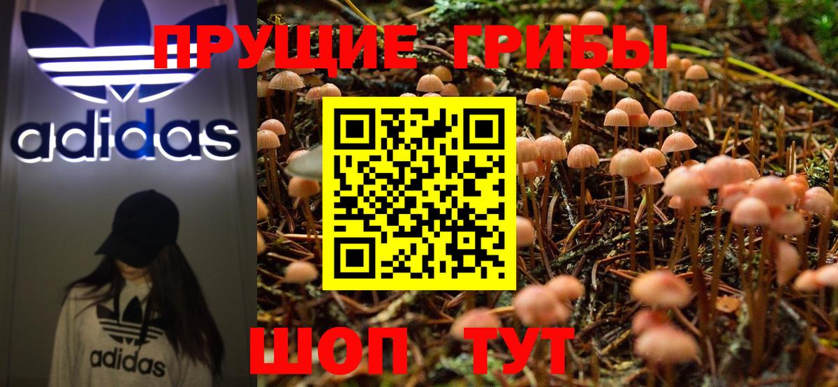 Псилоцибиновые грибы Magic Shrooms  Галлюциногенные грибы MAGIC MUSHROOMS  Сальск  Вход с VPN 